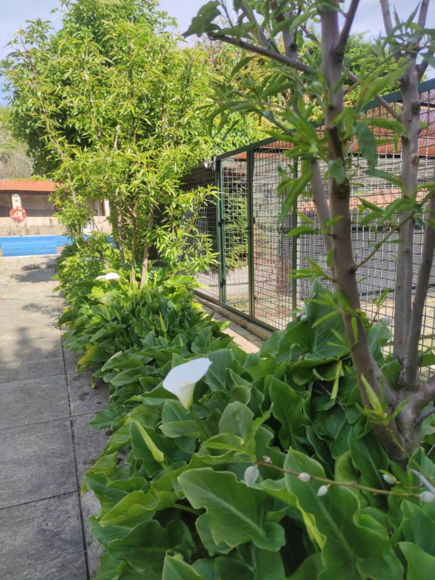 Tarouca Real Santo Antonio Guest House מראה חיצוני תמונה
