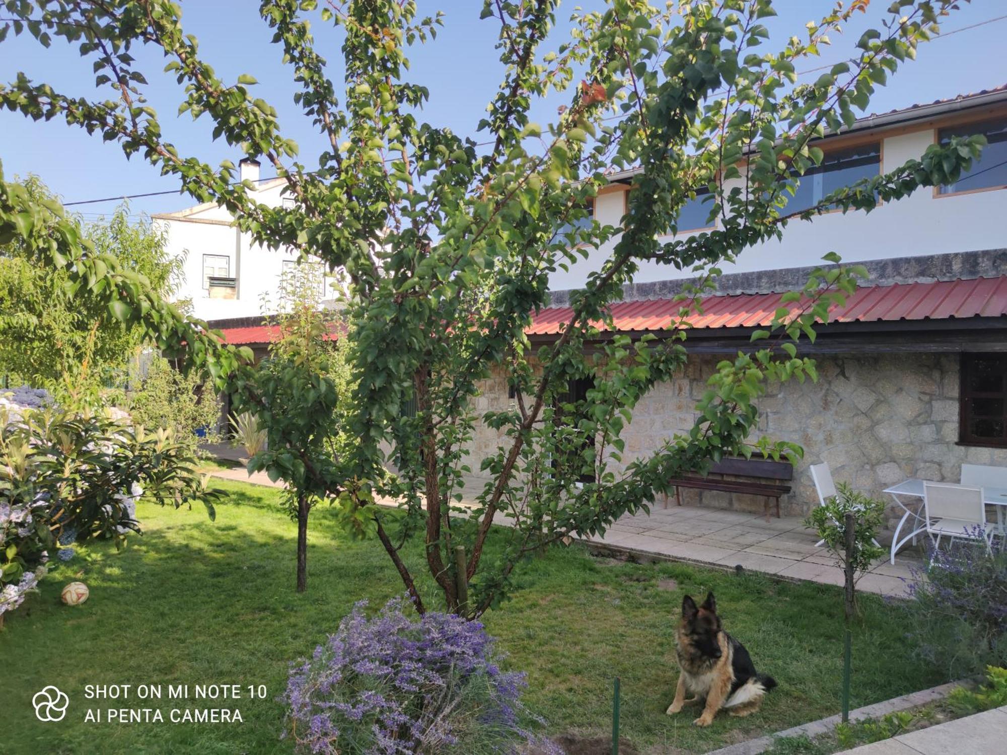Tarouca Real Santo Antonio Guest House מראה חיצוני תמונה