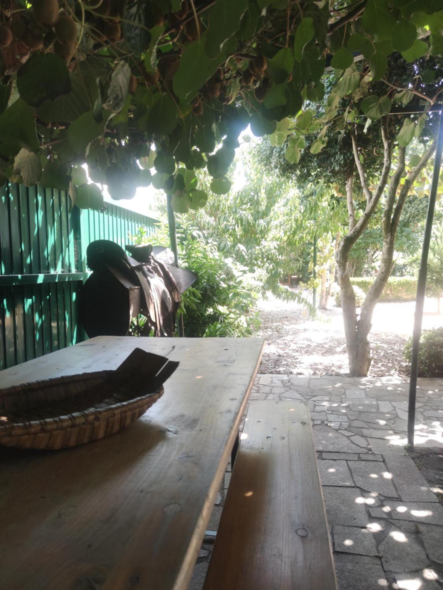 Tarouca Real Santo Antonio Guest House מראה חיצוני תמונה