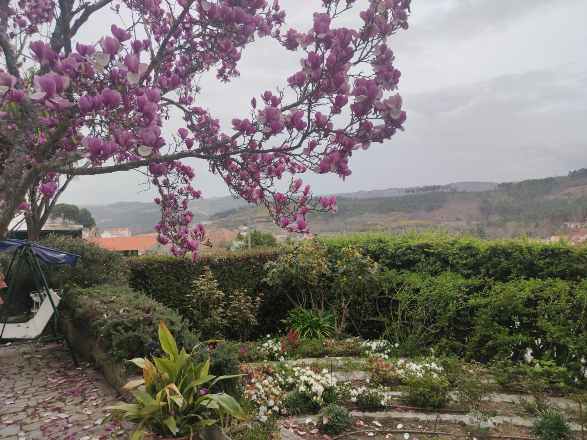 Tarouca Real Santo Antonio Guest House מראה חיצוני תמונה