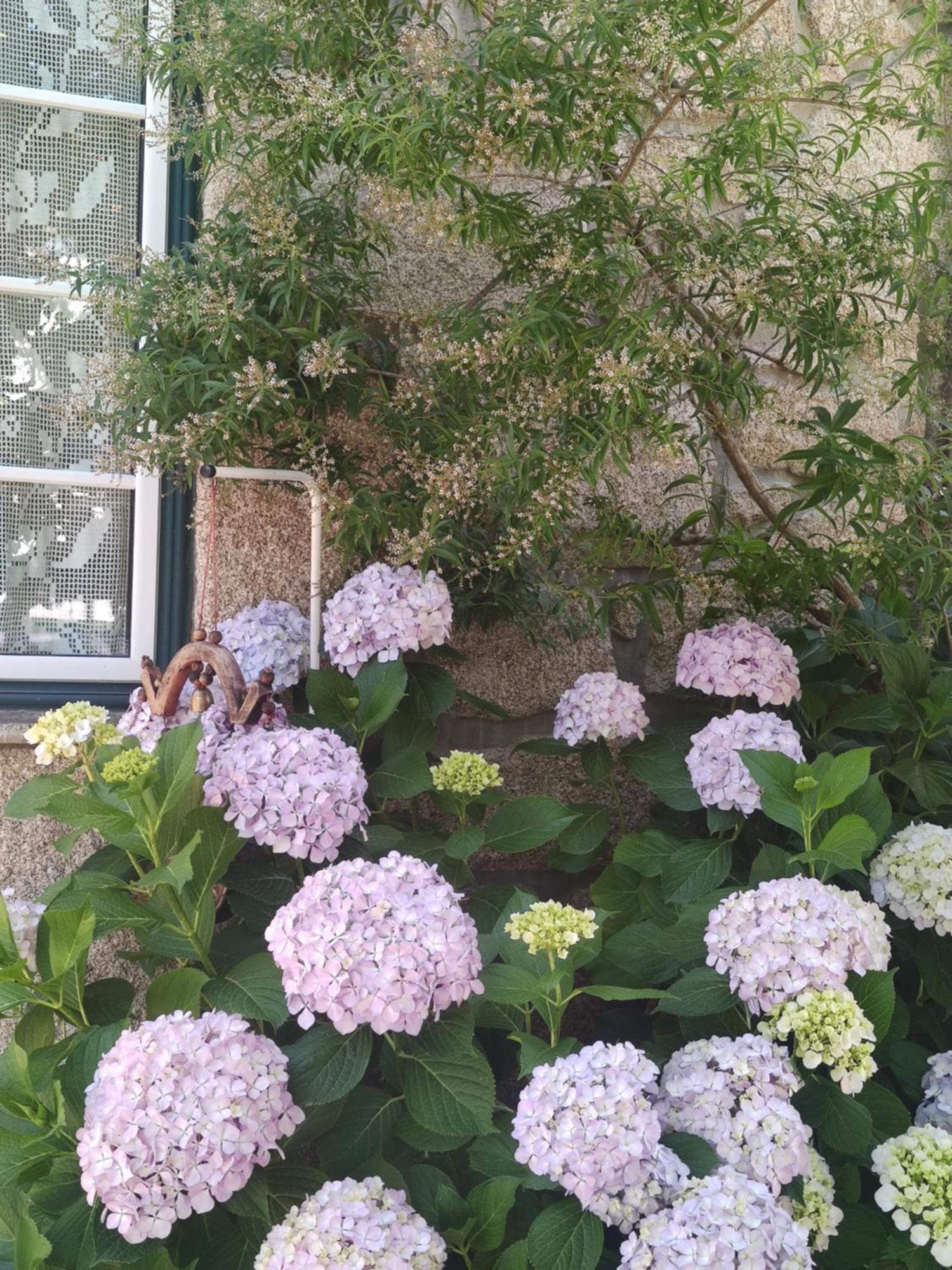 Tarouca Real Santo Antonio Guest House מראה חיצוני תמונה