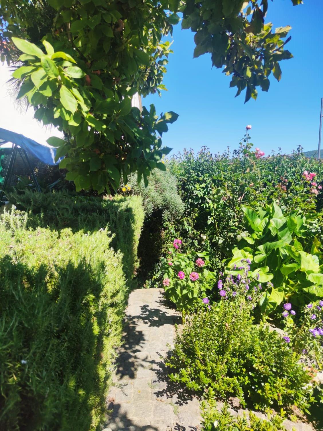 Tarouca Real Santo Antonio Guest House מראה חיצוני תמונה
