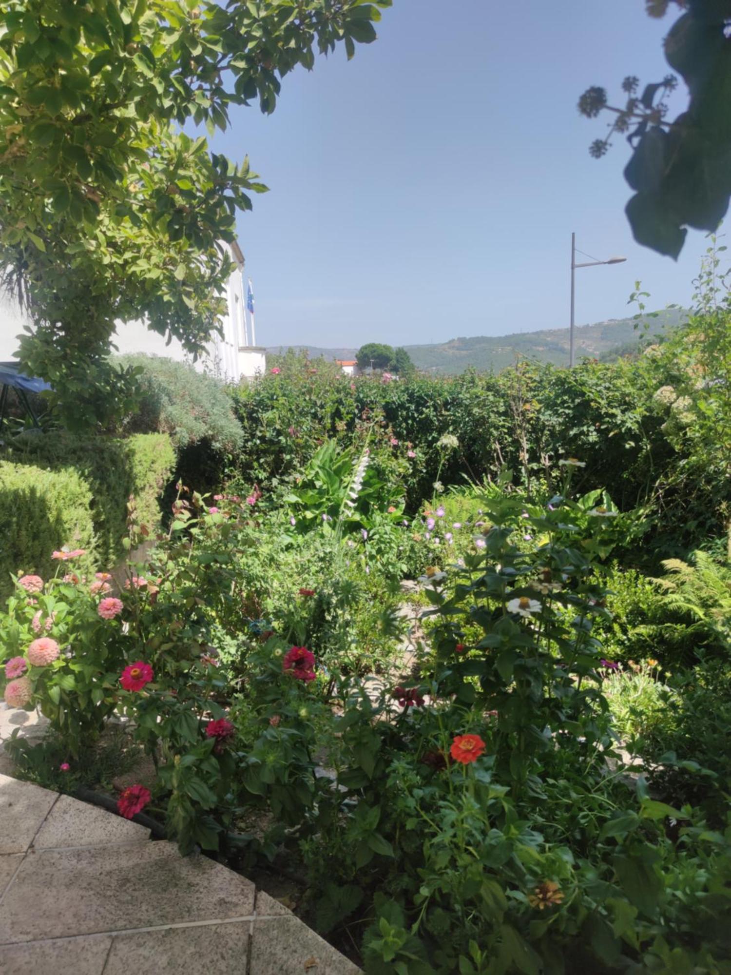 Tarouca Real Santo Antonio Guest House מראה חיצוני תמונה