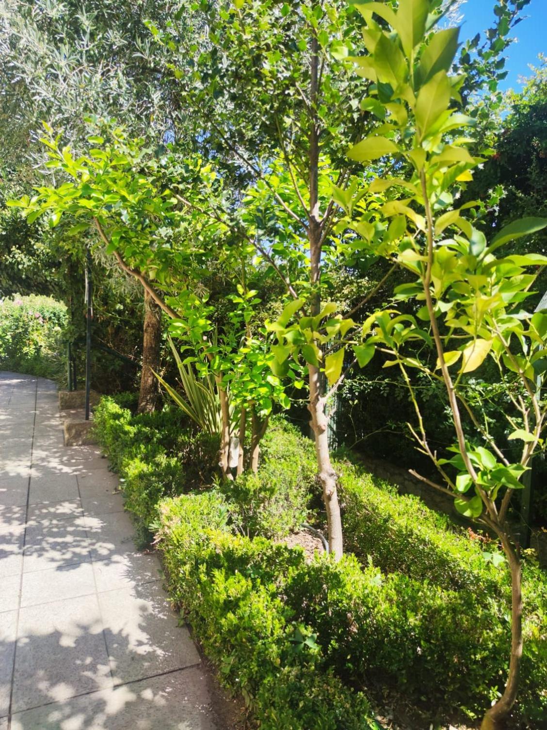 Tarouca Real Santo Antonio Guest House מראה חיצוני תמונה