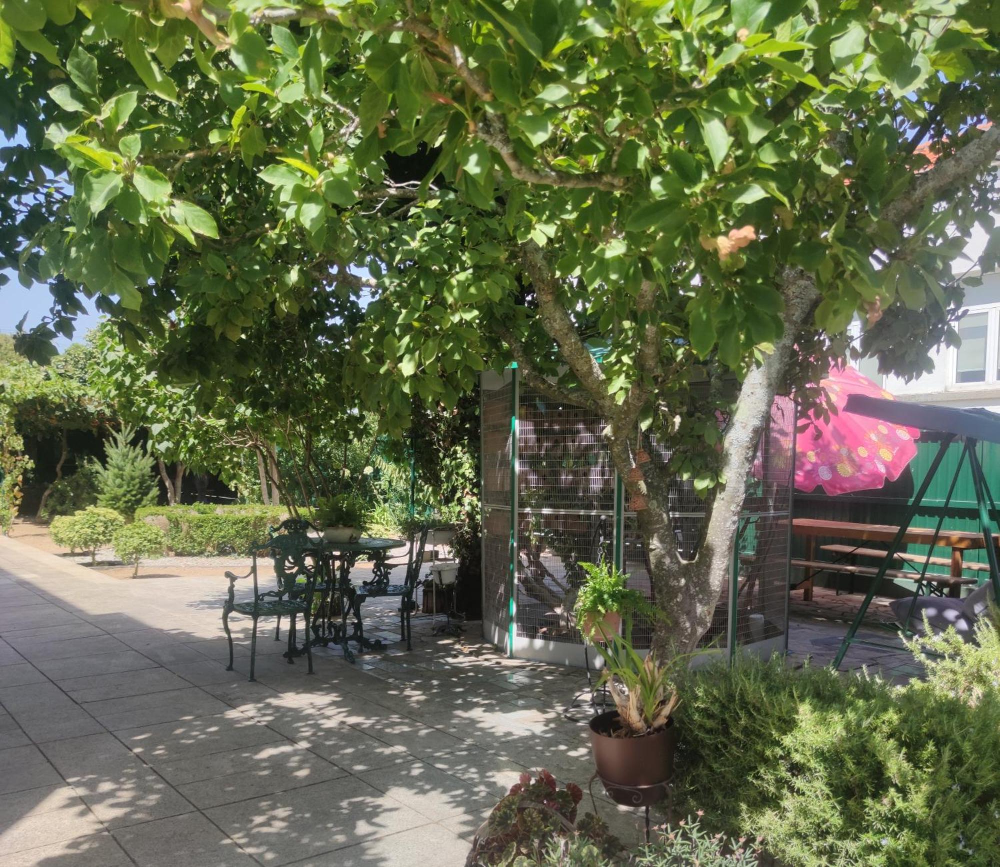 Tarouca Real Santo Antonio Guest House מראה חיצוני תמונה