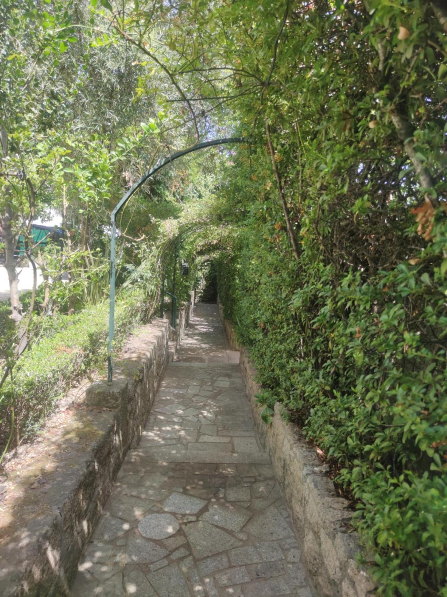 Tarouca Real Santo Antonio Guest House מראה חיצוני תמונה