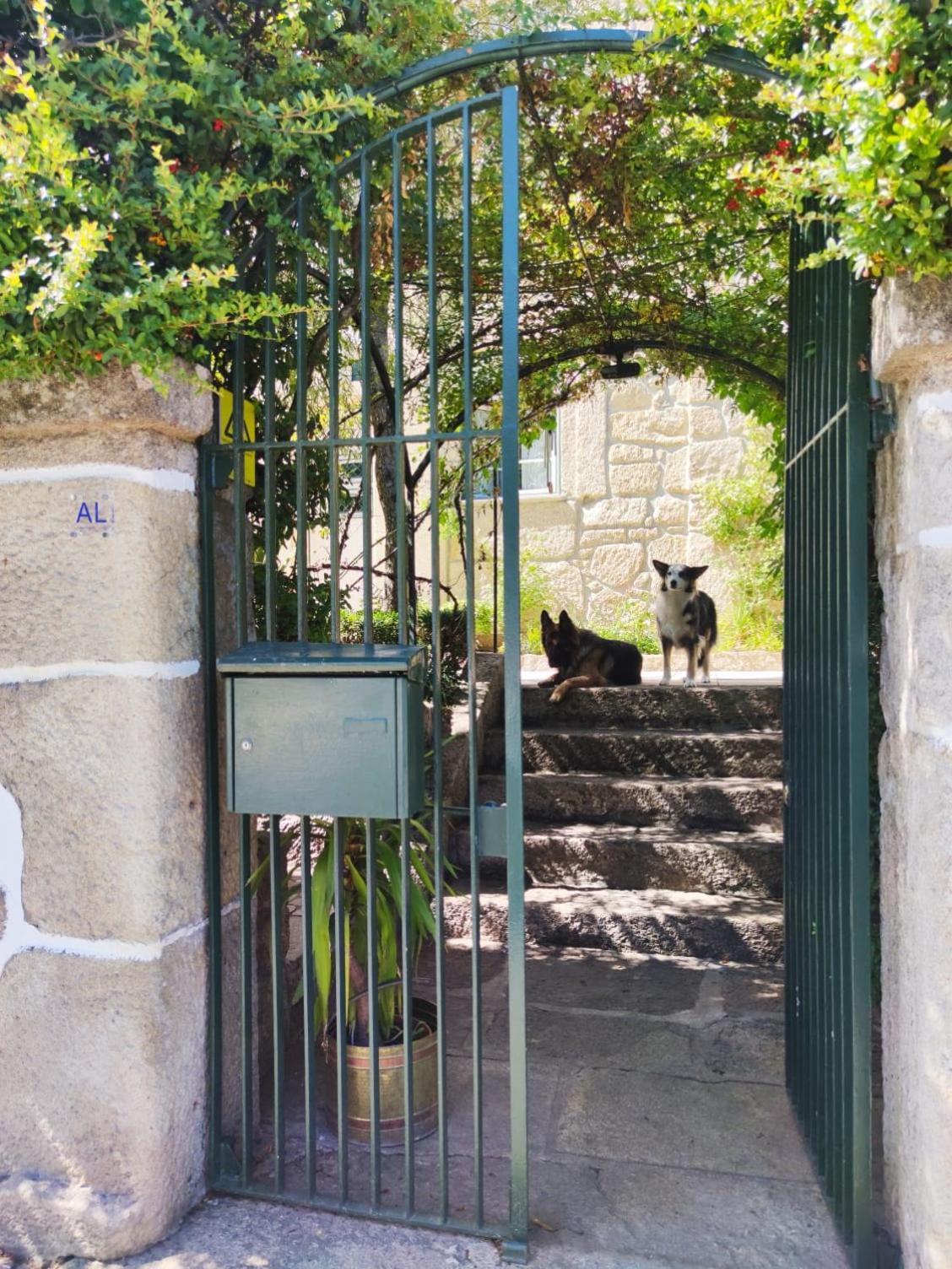 Tarouca Real Santo Antonio Guest House מראה חיצוני תמונה