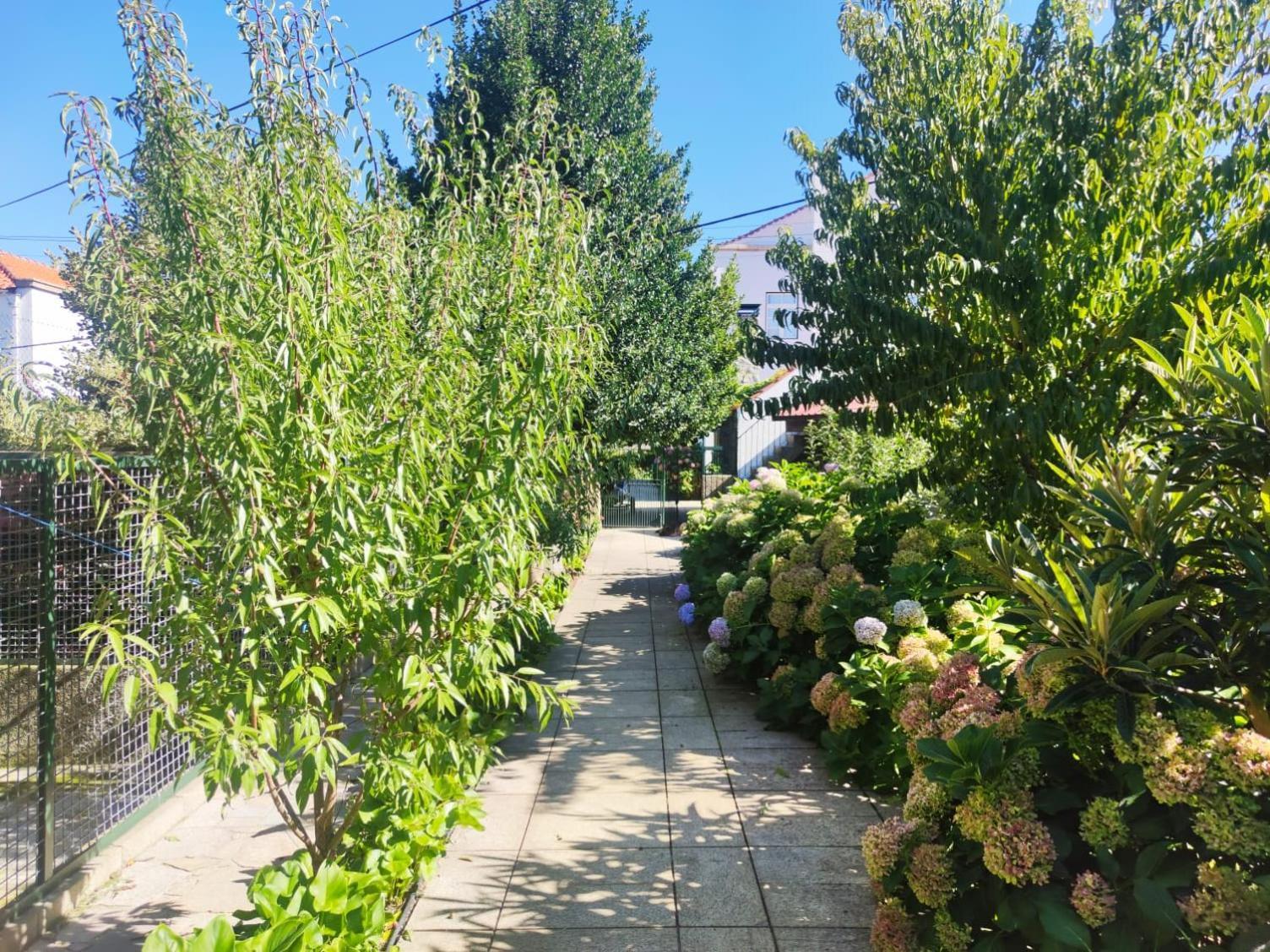 Tarouca Real Santo Antonio Guest House מראה חיצוני תמונה