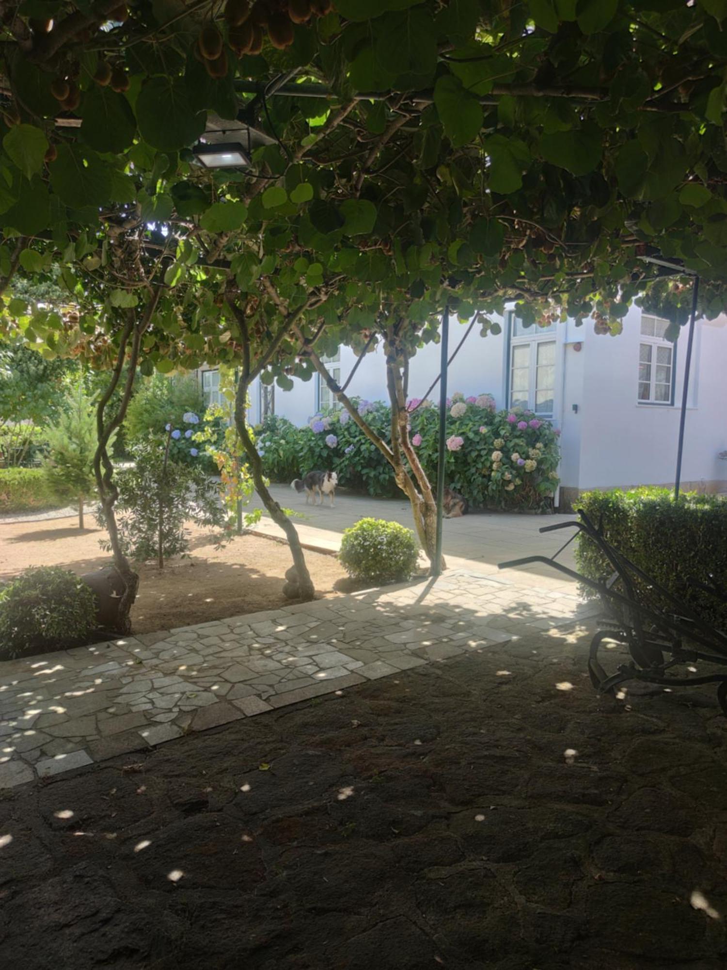 Tarouca Real Santo Antonio Guest House מראה חיצוני תמונה